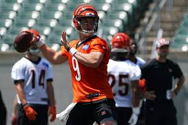The Super Bowl Race In The Perspective Of Chase: Cincinnati Bengals!